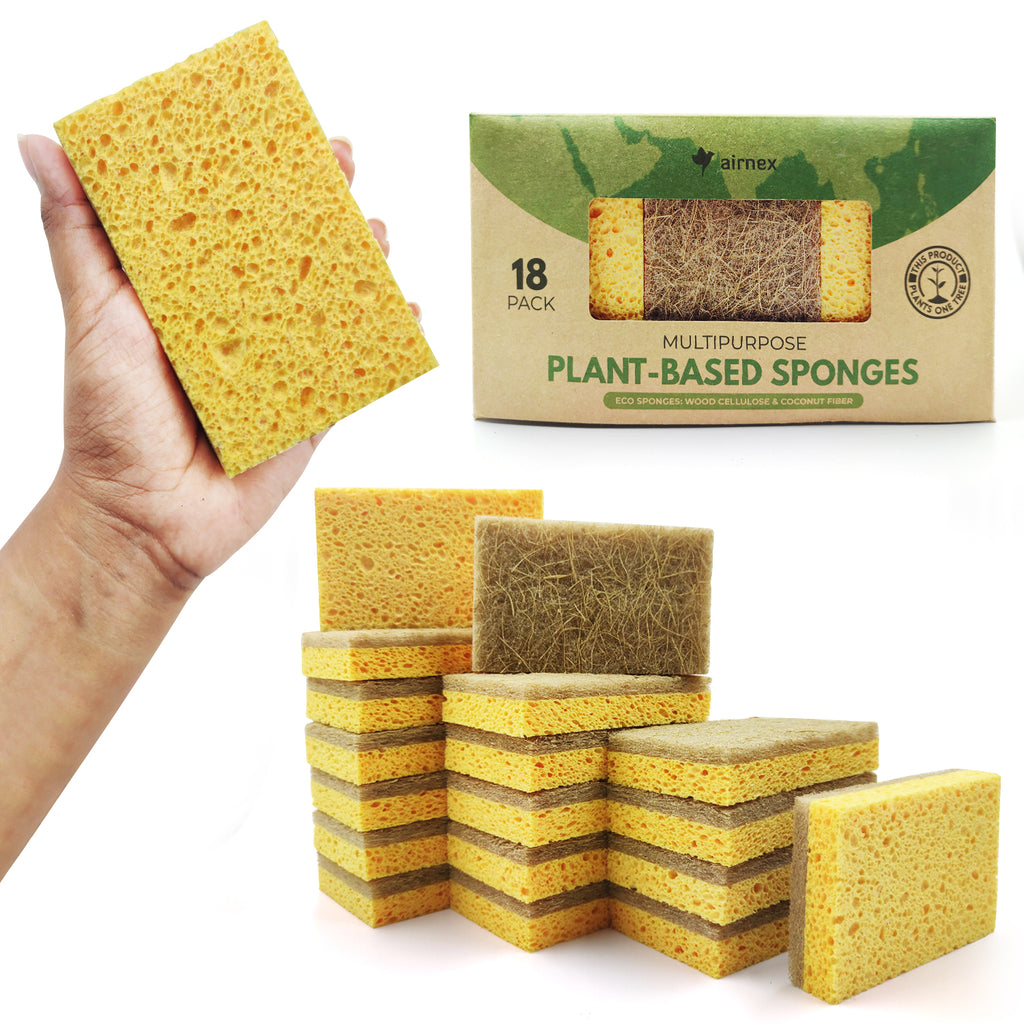 https://www.airnex.store/cdn/shop/products/1YellowSponges-MainImage_1024x1024.jpg?v=1645970968